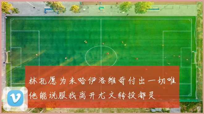 林孔愿为米哈伊洛维奇付出一切唯他能说服我离开尤文转投都灵
