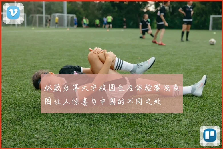 林葳分享大学校园生活体验赛场氛围让人惊喜与中国的不同之处