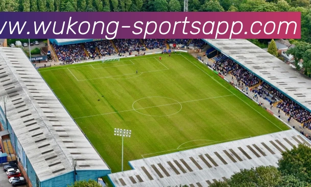 悟空体育发展历程